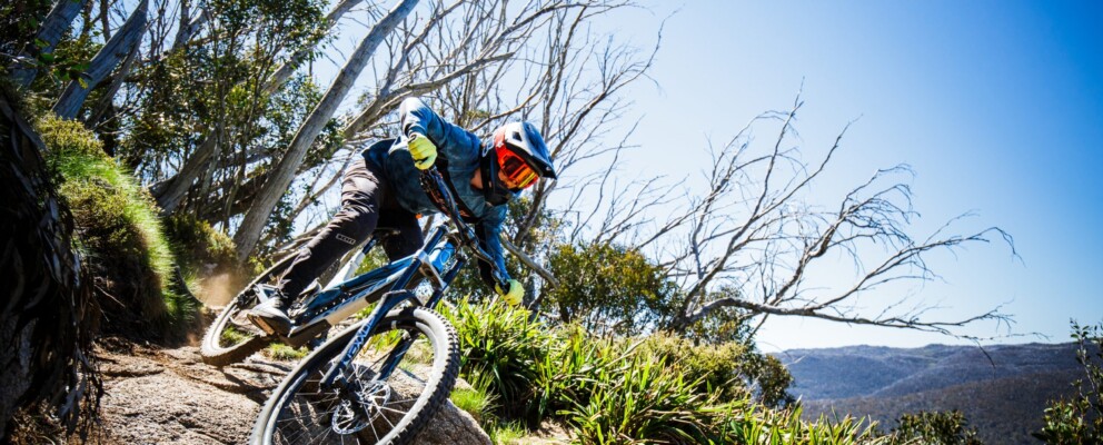 Spring 3rd Night Free !