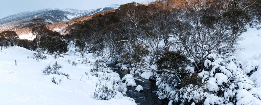 Stay 3 nights or more and get 1 night free Winter Value Season